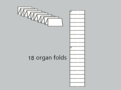 Buckle Folder (10 Buckles and 8 Buckles)