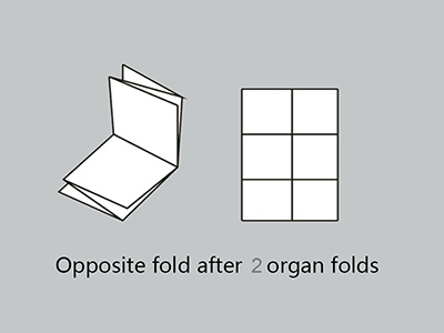 Paper Folder (2 Buckles and 1 Knife)