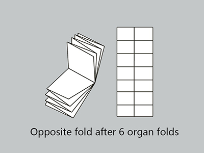 Paper Folder (6 Buckles and 2 Knives)