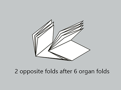 Paper Folder (6 Buckles and 2 Knives)